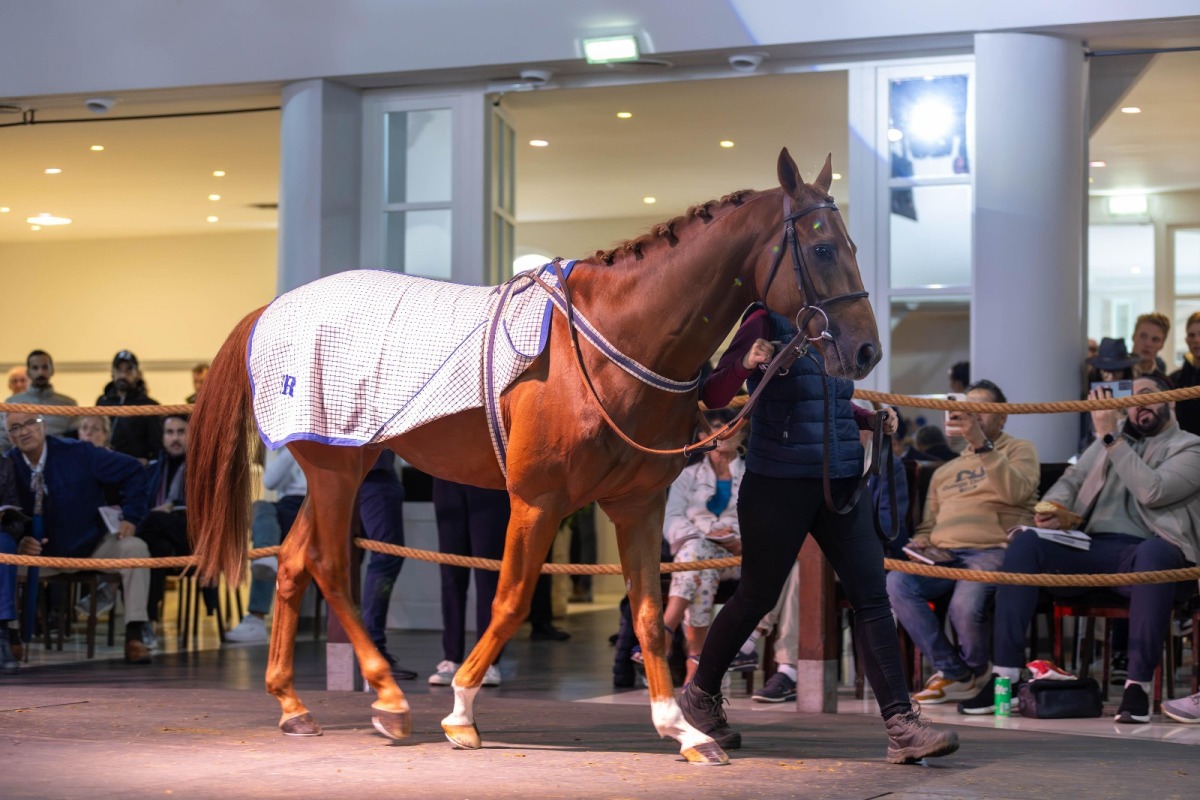 The QREC-sponsored Qatar Prix de l’Arc de Triomphe weekend draws the world’s racing eyes to Paris.