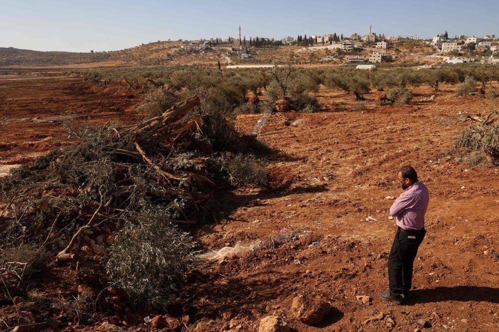 File: A Palestinian man looks at olive trees reportedly uprooted by Israeli soldiers using a bulldozer in the occupied West Bank village of Al-Mughayyir, north of Ramallah, on August 24, 2025. (Photo by Zain Jaafar / AFP)