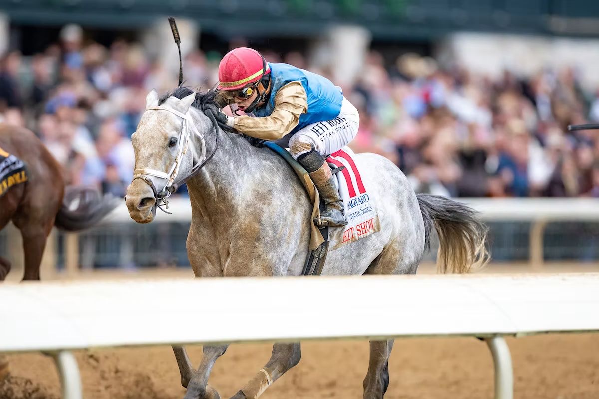 Representational image of a rider and his horse