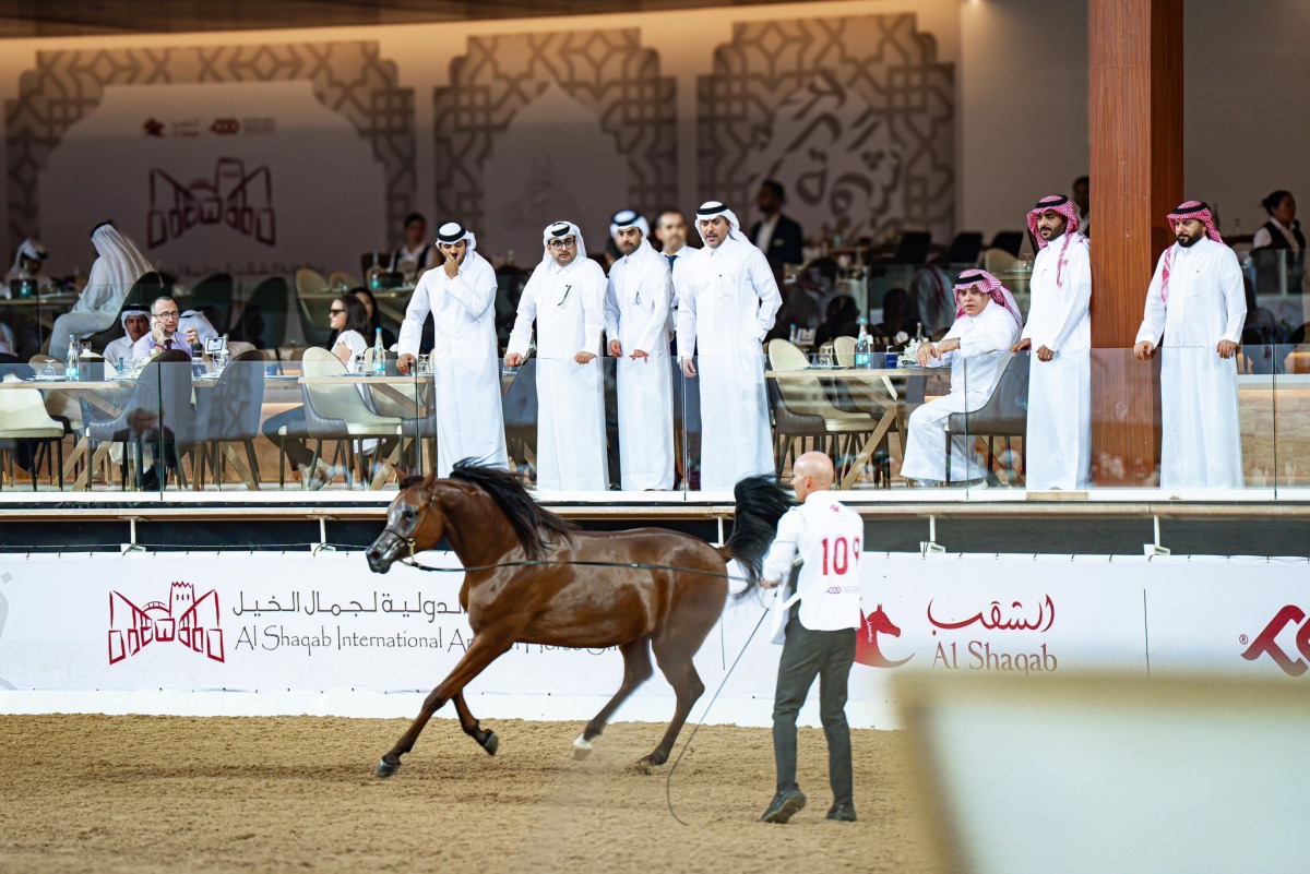 The second day of the Al Shaqab International Arabian Horse Show featured over 90 horses at the Longines Outdoor Arena.