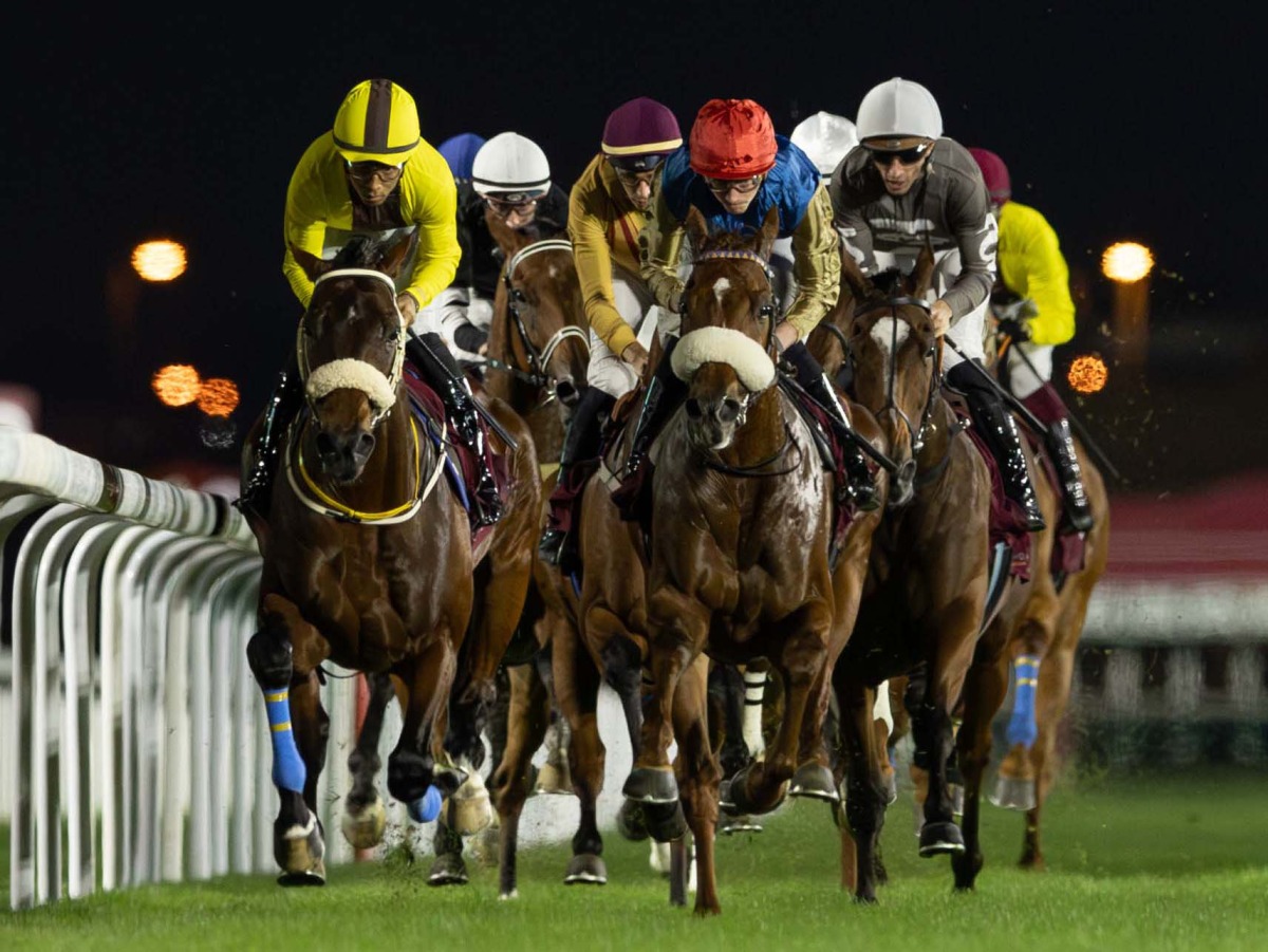 Action during the Late Sheikh Jassim Bin Mohammed Bin Thani Trophy meeting at Al Rayyan Racecourse.