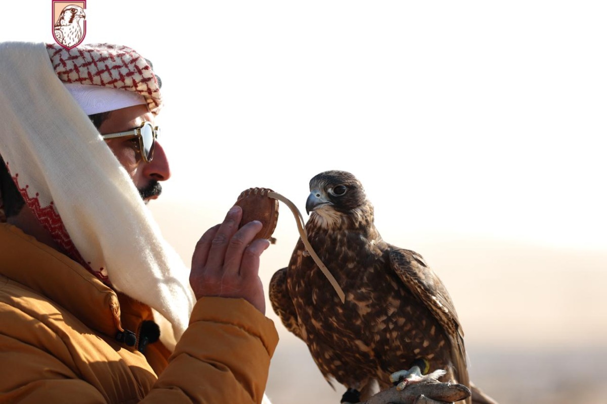 A falconer with his falcon during the competition. 