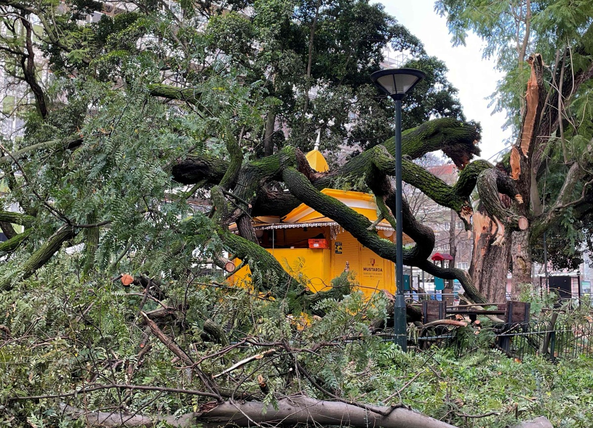  A picture taken on January 28, 2026 shows tree branches fallen on a kiosk in Lisbon after storm Kristin hit Portugal. (Photo by Thomas CABRAL / AFP)