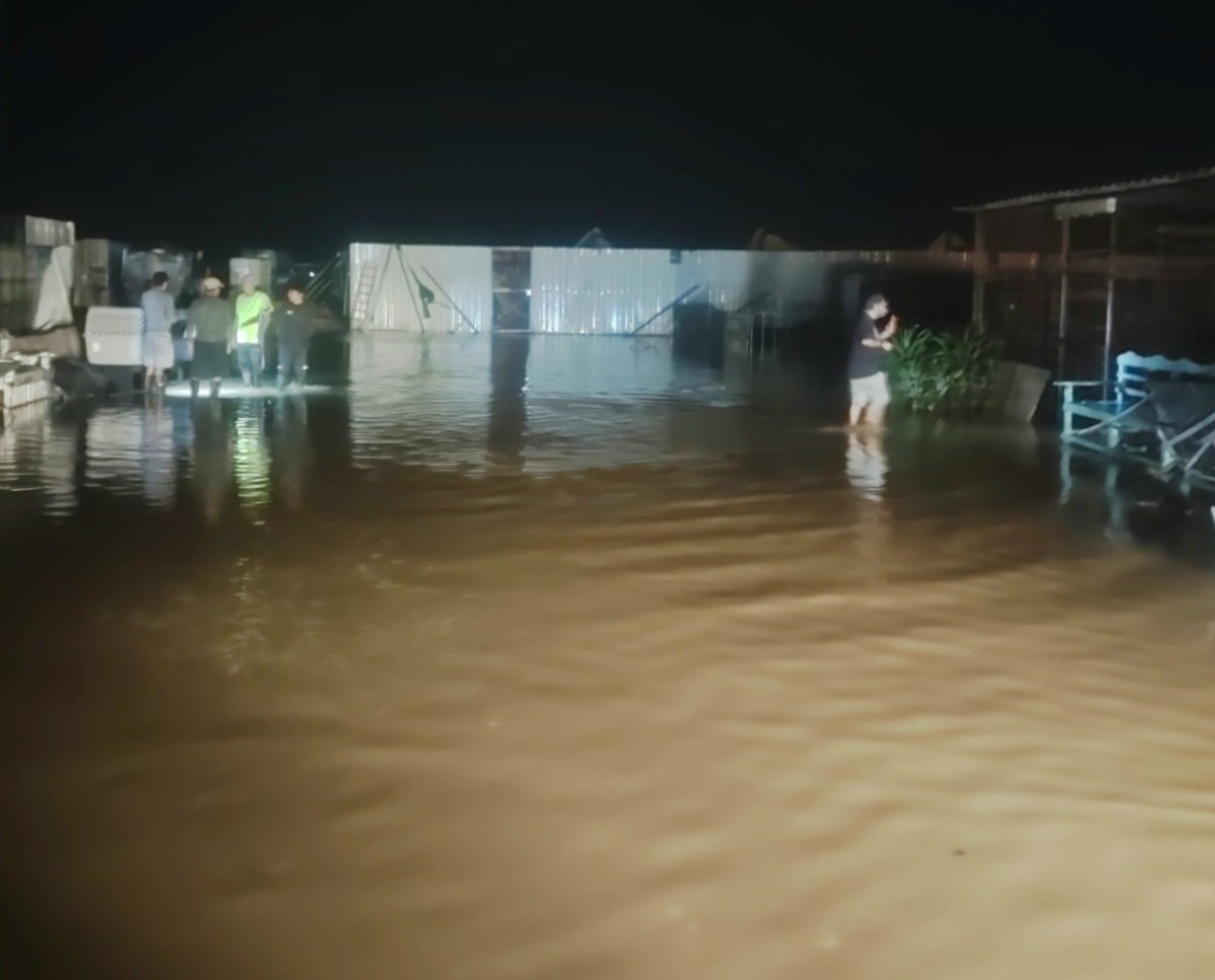 Photo: Qatar Animal Welfare Society (QAWS)