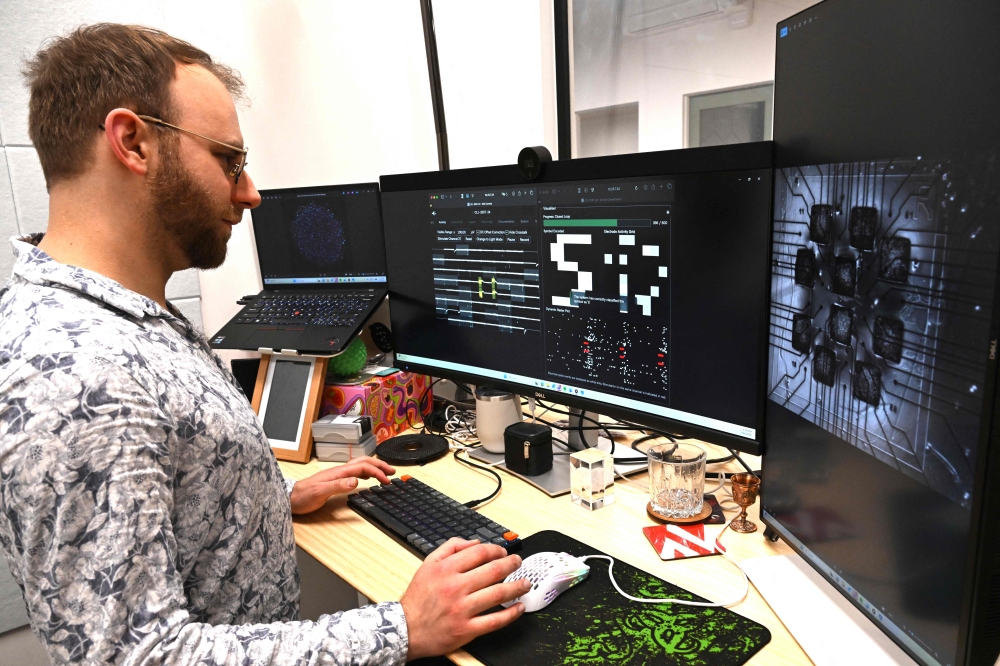 In this photo taken on May 5, 2026, chief scientific and operations officer Brett Kagan looks at cortical and hippocampal cells on cell culture plates in Melbourne. (Photo by William West / AFP) 