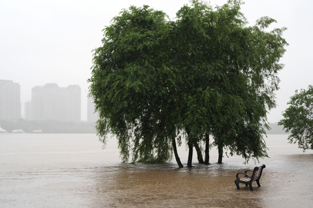 This photo taken on July 13, 2026 shows trees submerged in floodwaters by the Hunhe River in Shenyang, northeast China's Liaoning Province. Due to recent downpours, the water level at the Shenyang Hydrological Station on the Hunhe River reached 37.99 meters. (Xinhua/Li Gang)