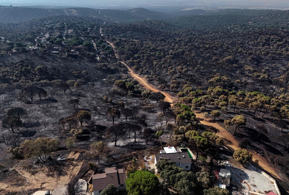 his general aerial view taken with a drone shows a burnt forest in Pelayos de la Presa, 65 kilometres west of Madrid, following devastating wildfires in the region on July 30, 2026.  (Photo by OSCAR DEL POZO / AFP)