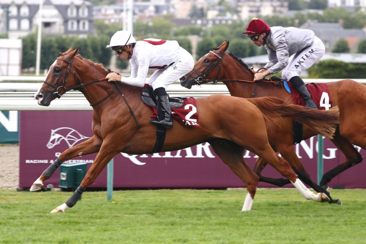 Christophe Soumillon guides Alkrar to win Al Rayyan Cup.