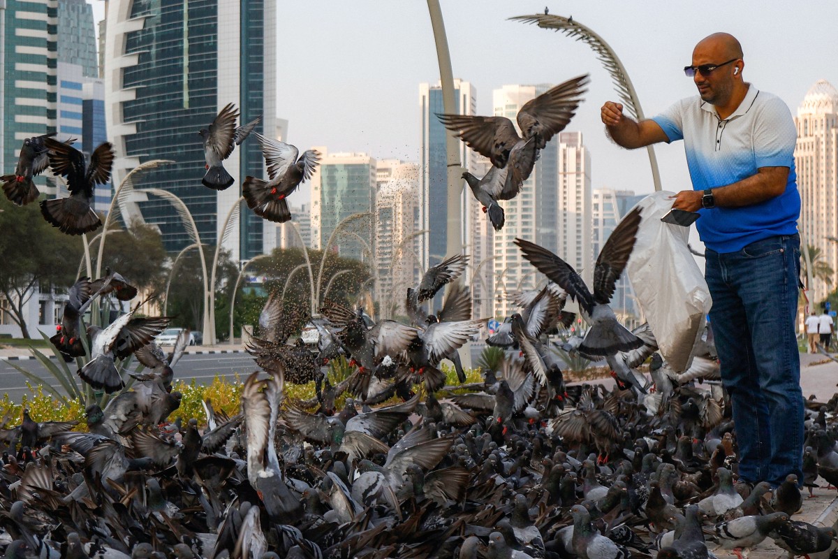 A man feeds pigeons on a lawn near high-rise buildings along the Doha corniche waterfront on August 4, 2026. (Photo by KARIM JAAFAR / AFP)

